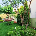 Iliotropio Case de vacanță